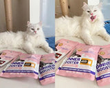 🐱 Tame the Fussy Cat: How Dinner Boosters Can Save Mealtime