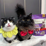 🐈 Cat Treats With a Purpose: Why Our SI Range Is the Healthy Choice