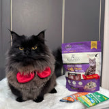 Shop Cat Food