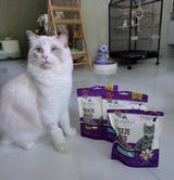 🐾 5 Signs Your Cat Needs a Protein Boost (And How Kelly & Co’s Can Help)